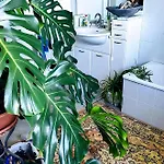 Casa Bice * Marcialla
